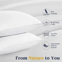 Goose Feather Down White Pillow Inserts 5 Stars Hotel Soft Bed Pillows for Sleeping Neck Spine Protection Slow Rebound Pillow 2