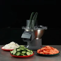 Commercial Vegetable Cutter For Pickled Cabbage Pepper Potato Lemon Mango Electric Vegetable Shredder Slicing Cutting Machine 1