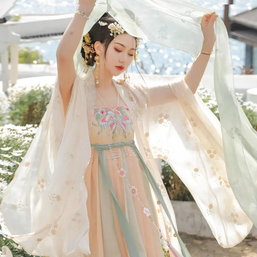 

Heavy embroidery Hanfu traditional Chinese style women's skirt high quality Tang Dynasty Chebula skirt summer everyday clothes