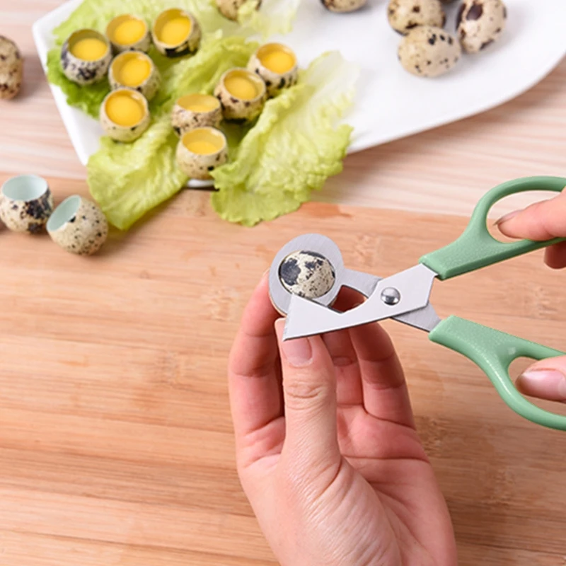 Quail Egg Cutter 10pcs for Pigeon Bird Quail Egg Opener Kitchen Shears Tool 20CC