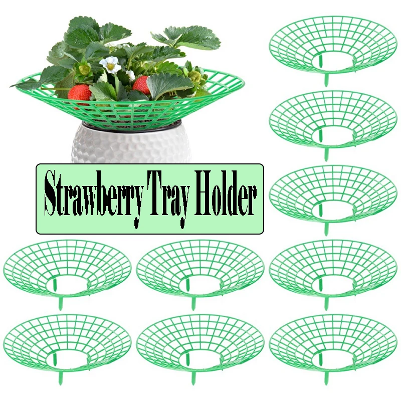 Plastic Plant Supports Plant Climbing Support Plant Support Racks Metal Plant Stand 5PC Strawberry Bracket
