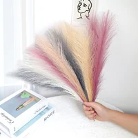 Faux Pampas Grass Beige 10PCS,Small Artificial Pompas Grass Decor for Vase,Fake Fluffy Pampas Floral for Home Wedding Boho Decor 4