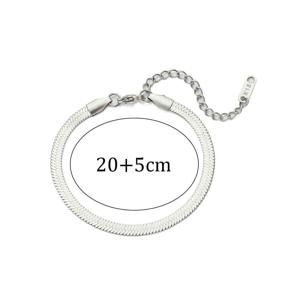 Anklet Silver 20cm