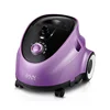 Electric Irons 1.65L Home Use Stand Upright Garment Clothes Professional Fabric Steamer With Hanger Board   مكواة بخار للملابس 3