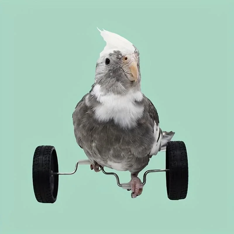 Bird Toys Parrot Balance Car Toy Pet Bird Interactive Skill Training Toys Exercise Fun Play Parrots Parakeets