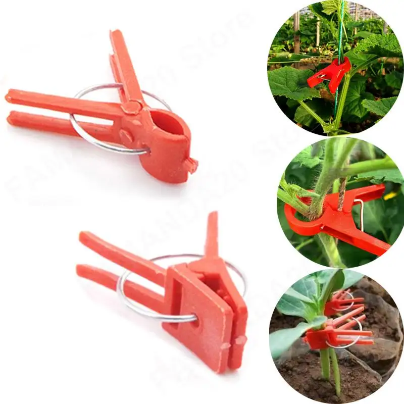 Garden Graft Clip Plastic Plant Support Clips Anti-fall Clamps For Plants Vine Greenhouse Vegetables Tomatoes Watermelon M20 grafting clamps