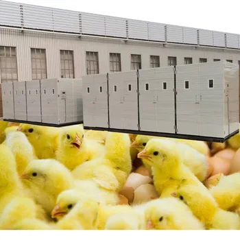 Incubatrice automatica per uova di gallina a prezzo di fabbrica per polli di pollame, anatre, oche