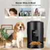 2L APP Control Automatic Pet Feeder Button Version Auto Cat Food Dispenser Smart Control Pet Feeder for Cats Dog Dry Food Bowl 6