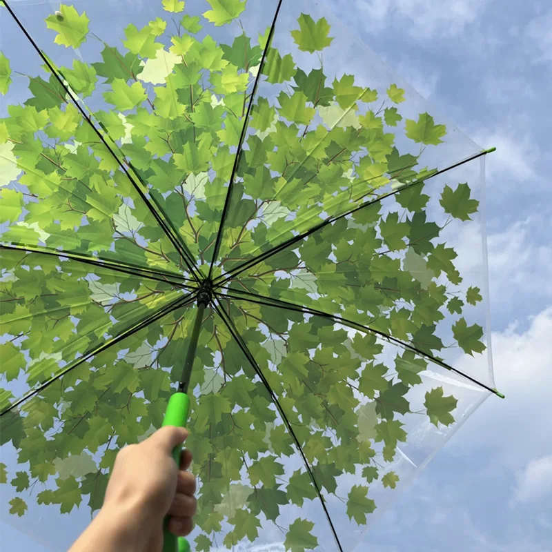 

Transparent Umbrella Cherry Blossom Maple Leaves Long Handle Umbrella Chamomile Clear Baking Paint Creative Paravent Umbrella