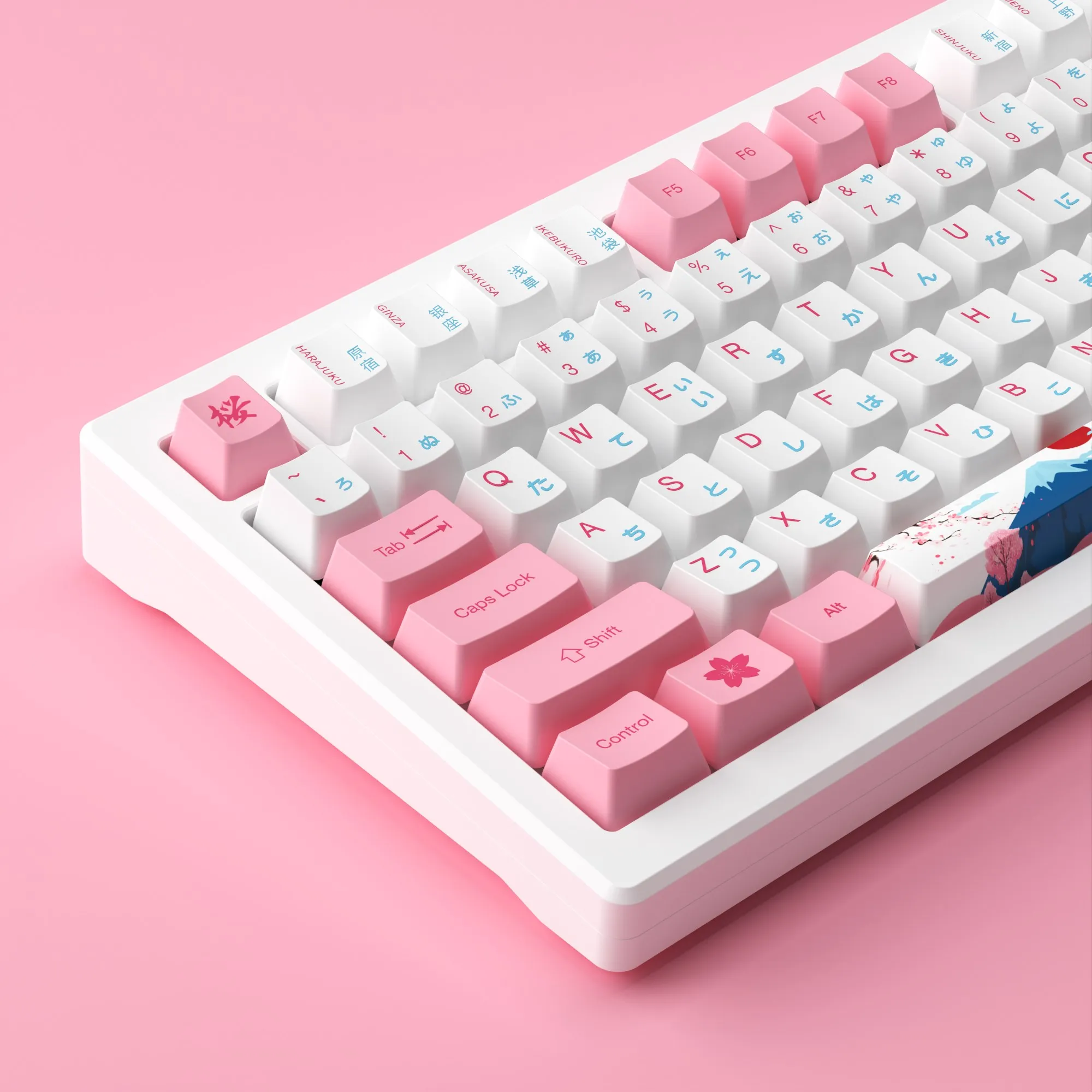 [専用出品]akko MOD007B PC Tokyo Magnetic Switch Gaming Keyboard | Akko