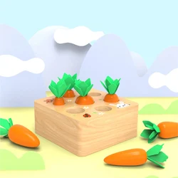 Juego de bloques Montessori para niños, juguetes a juego con forma de Alpinia, tamaño de madera, cognición, zanahoria, Educación Temprana