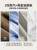 220V Small Size Steam Iron Handheld Garment Steamer for Dorm Room 3