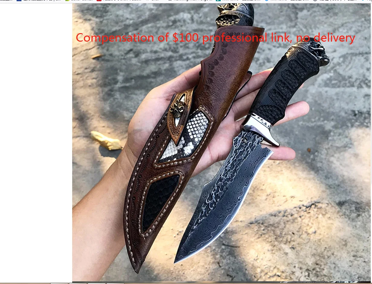 

Compensation of $100 professional link, no delivery