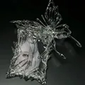 Magnetic Transparent