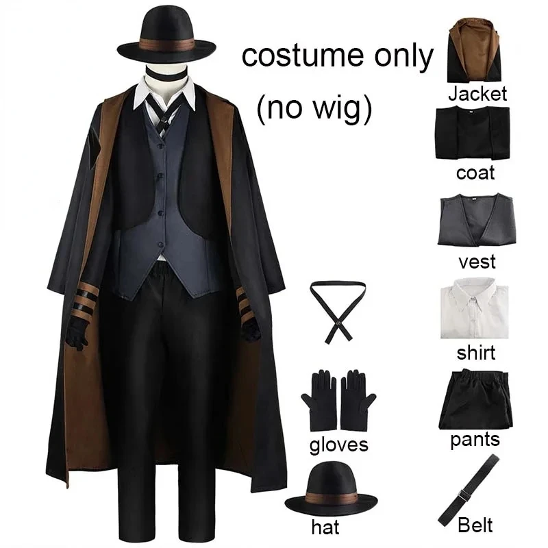 Costume only(no wig)