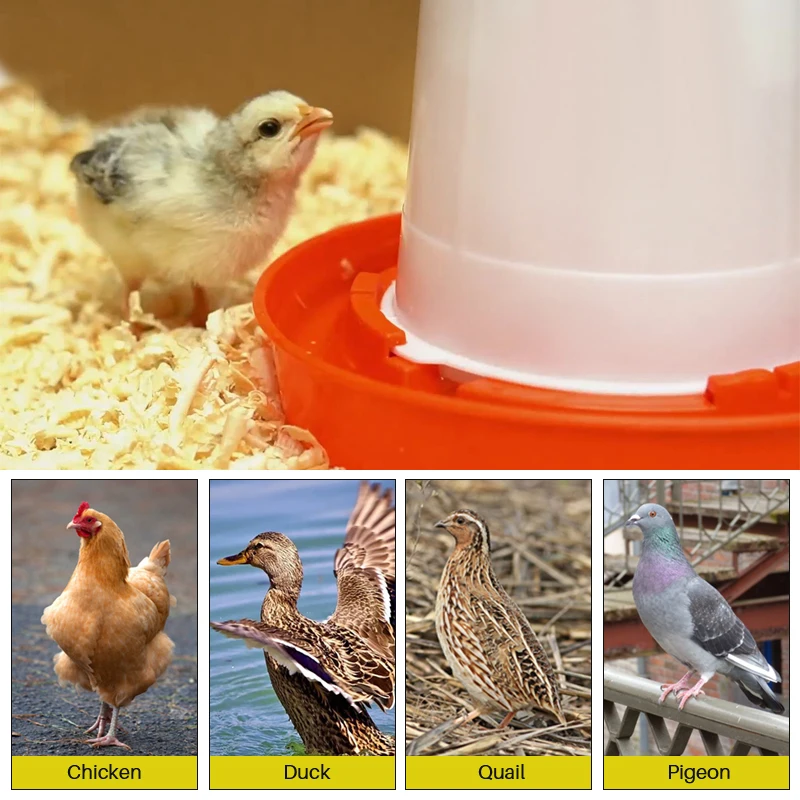 Poultry Water Dispenser Poultry Drinking Cups Poultry Waterer Animal Drinking Bowl Automatic Chicken Drinking Goblet Bucket 3L Capacity Plastic Poultry Rooster Hen Feeding Device Farm Animal Watering Supplies