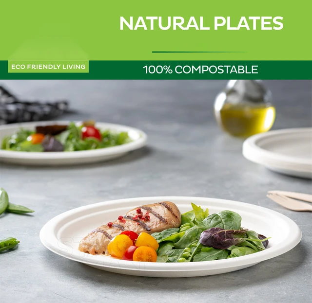 100% Compostable 9 Inch Heavy-Duty Paper Plates Eco-Friendly