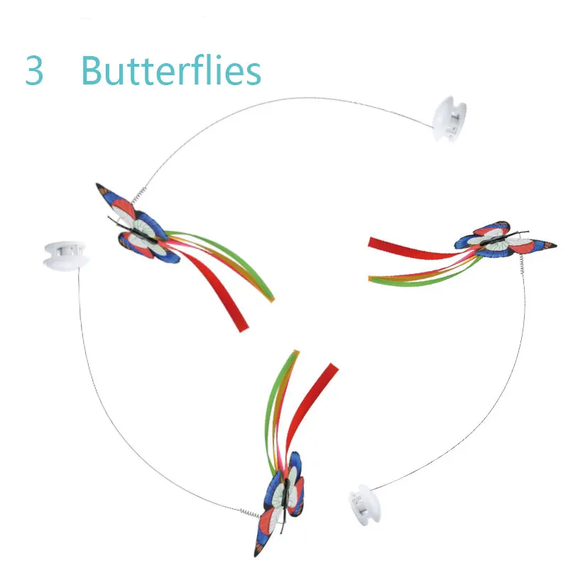 The butterfly