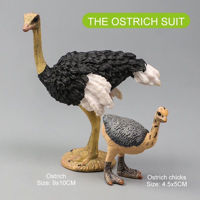 Figurine D'animal Réaliste Pour Ferme Ou Zoo - Modèle PVC, Neuf, Jouet éducatif