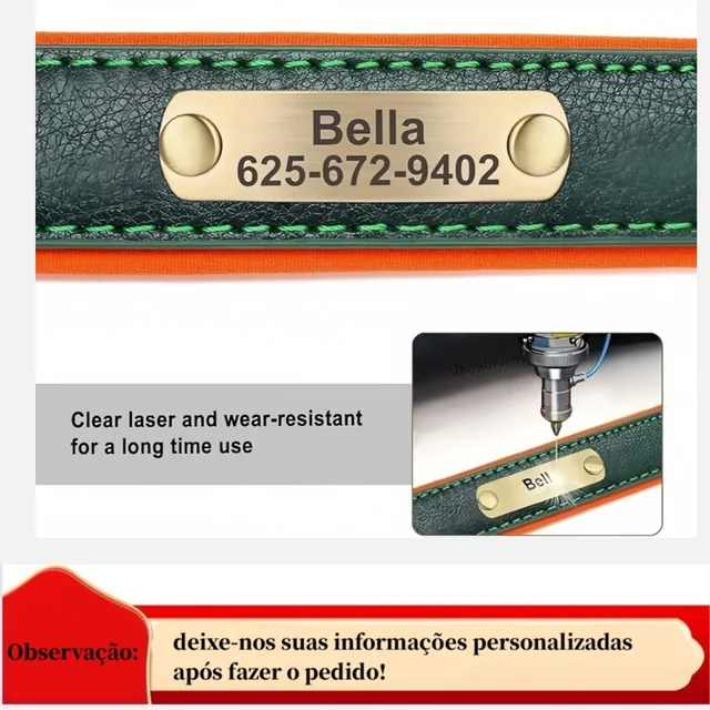 Nameplate Dog Collar 6
