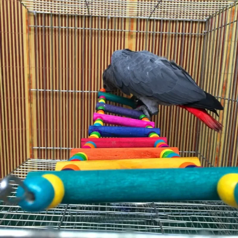 Birds Pets Parrots Ladders Climbing Toy Hanging Colorful Balls Natural Wood Chew Toys Swing Bridge parrot toy,bird toy,bird swing toy
