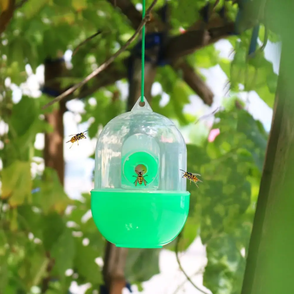 

Hanging Reusable Outdoor Killing Bee For Wasps Bees Pest Control Garden Yellowjacket Catcher Hornet Catcher Fly Killer Fly Trap