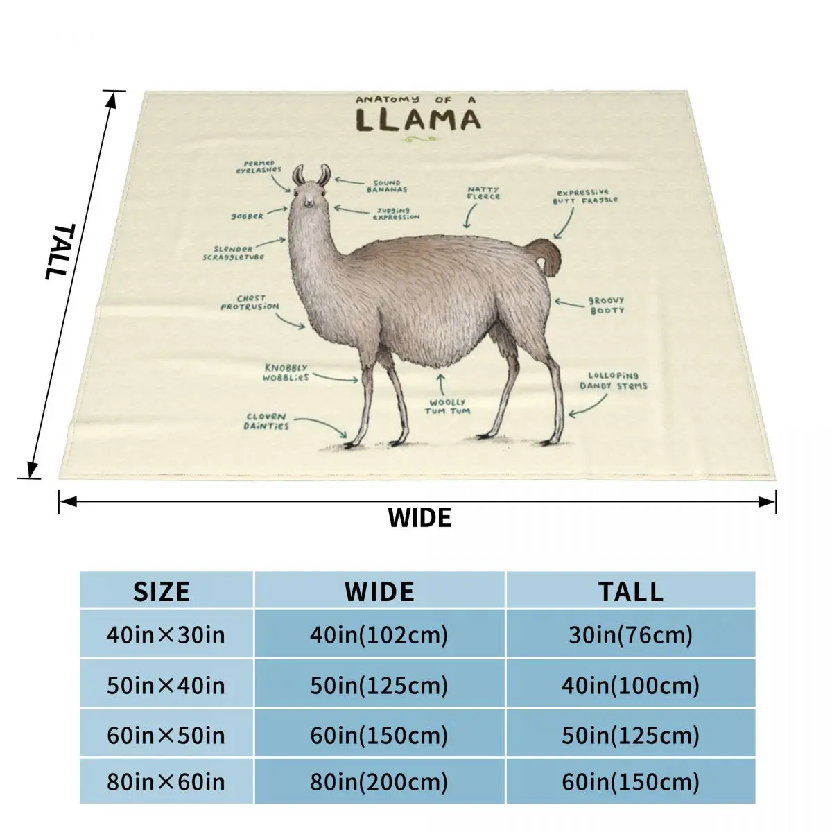 �� ������ ����� �غ��� ���� ���, ���� ���, ���� ���� ���