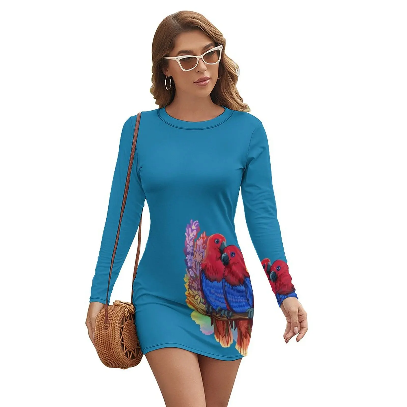 Lesbian Eclectus Parrots Long-sleeved Dress loose summer dress dresses with long sleeves party dresses woman