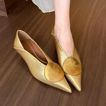Luxury Women Heeled Shoes Pointed Toe Low Heels Designer Shoes Sexy Dress Fashion Woman Pumps 2025 Summer Elegant Zapatos Mujer 1