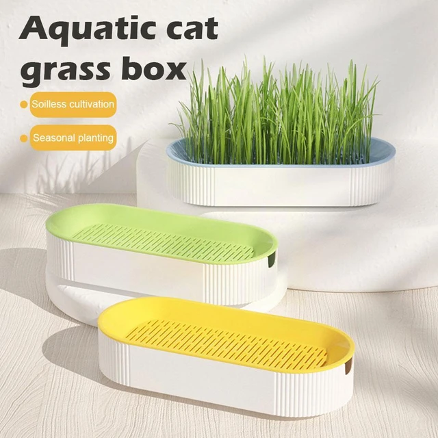 Boîte de plantation hydroponique pour chat, pot de chat, bol de plantation  d'herbe de chat - AliExpress