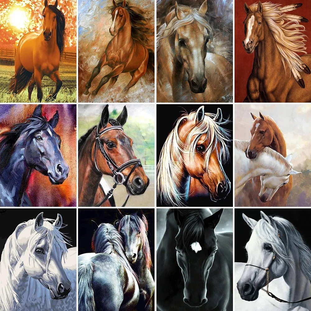 

Horse Animal DIY Painting By Numbers Package Oil Paints 40*50 Canvas Pictures Home Decoration For Adults Wholesale Drawing