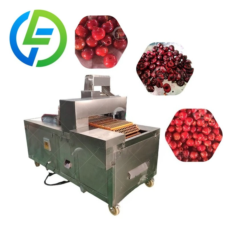 Commercial Fruit Core Seed Removing Separating Machine Cherry Pitting ...