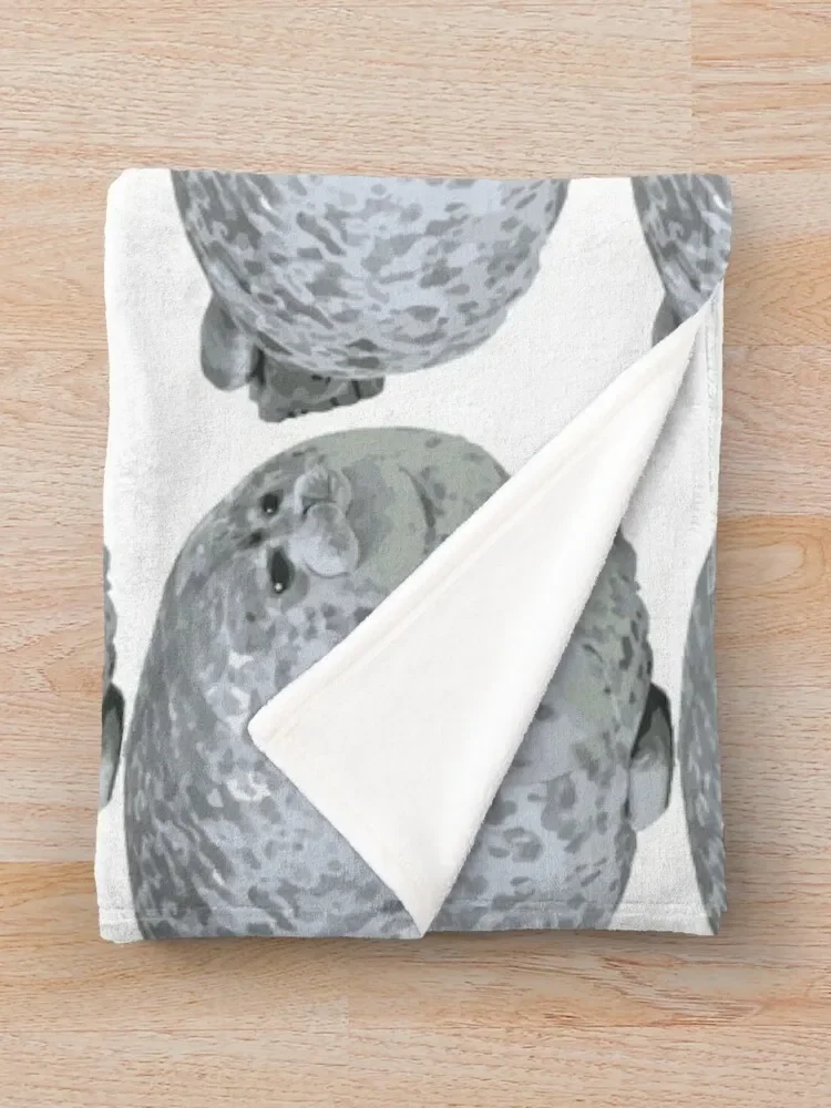 �Ϳ��� ���� Chonky ���� ������ ���, ��Ƽ�� ���Ÿ� �귣�� ��� �� ������ ���