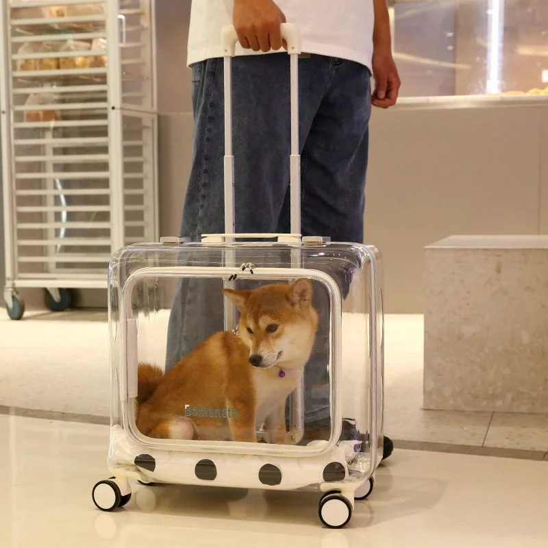 

Pet Trolley Case Transparent Cat Bag Out Portable Large Capacity Space Capsule Dog Cat Backpack Portable Suitcase Cat Carrier
