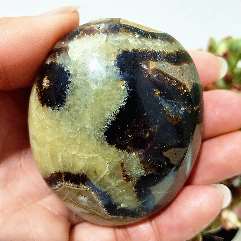 Natural Septarian Crystal Stone Palm Spiritual Meditation Reiki Healing Stones And Crystals Divination Feng Shui Home Room Decor 4