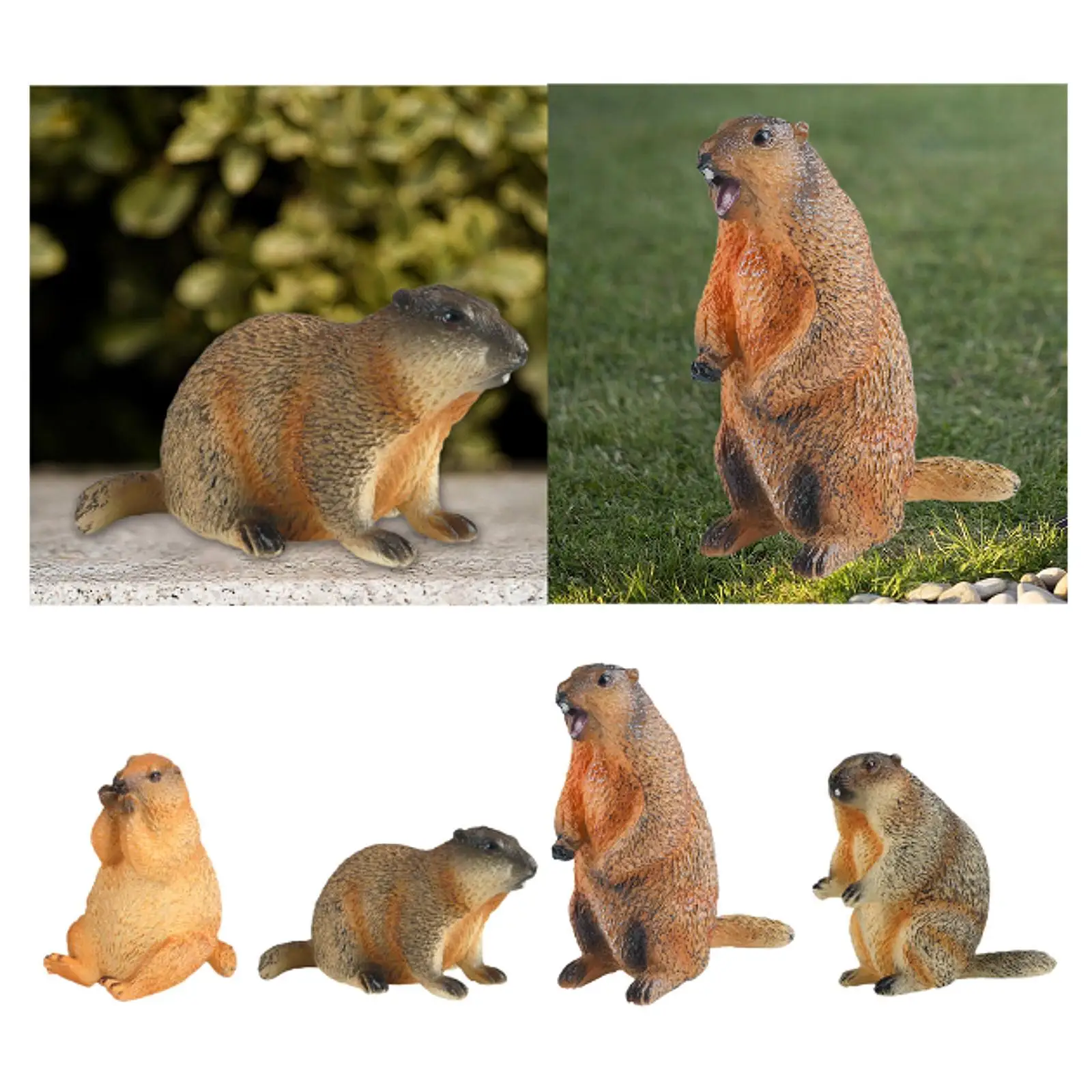 Groundhog Model Figure Marmots Sculpture Mini Crafts Lifelike Decorative