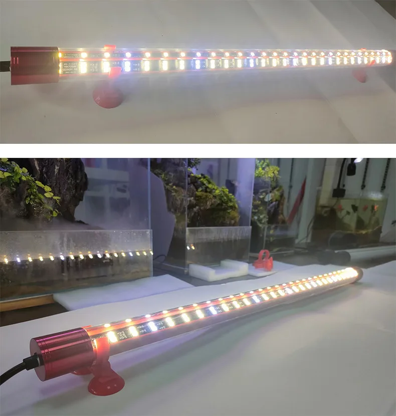 キ*ン様 Arowana Magical Light Series Koi light 5D Arowana special color magic light 240 degrees