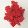 Big red