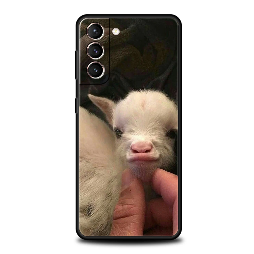 Cartoon Cute Goat Soft Phone Case Cover