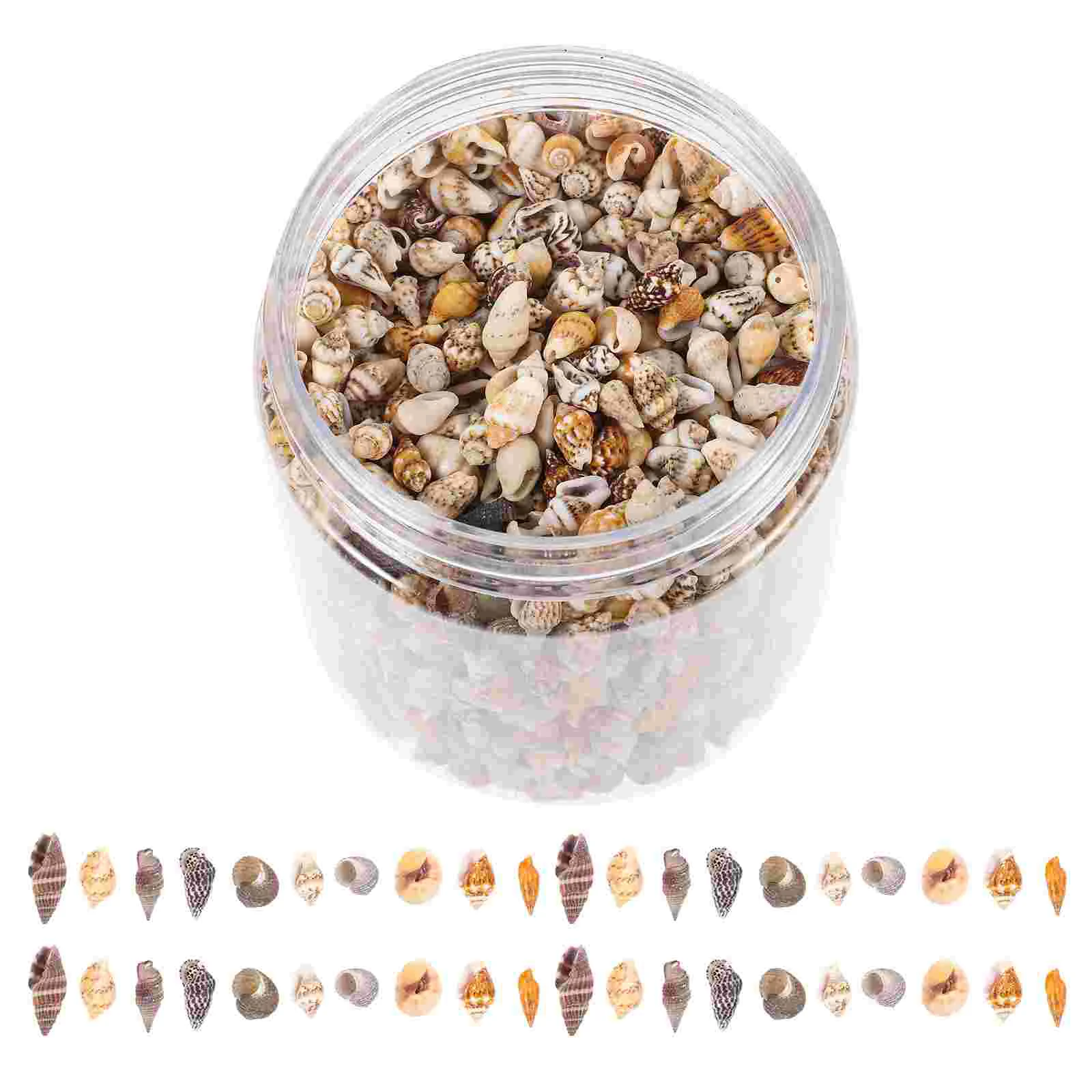 

1 Box of Decorative Tiny Sea Shells Conch Natural Conch DIY Craft Miniature Seashells Decors