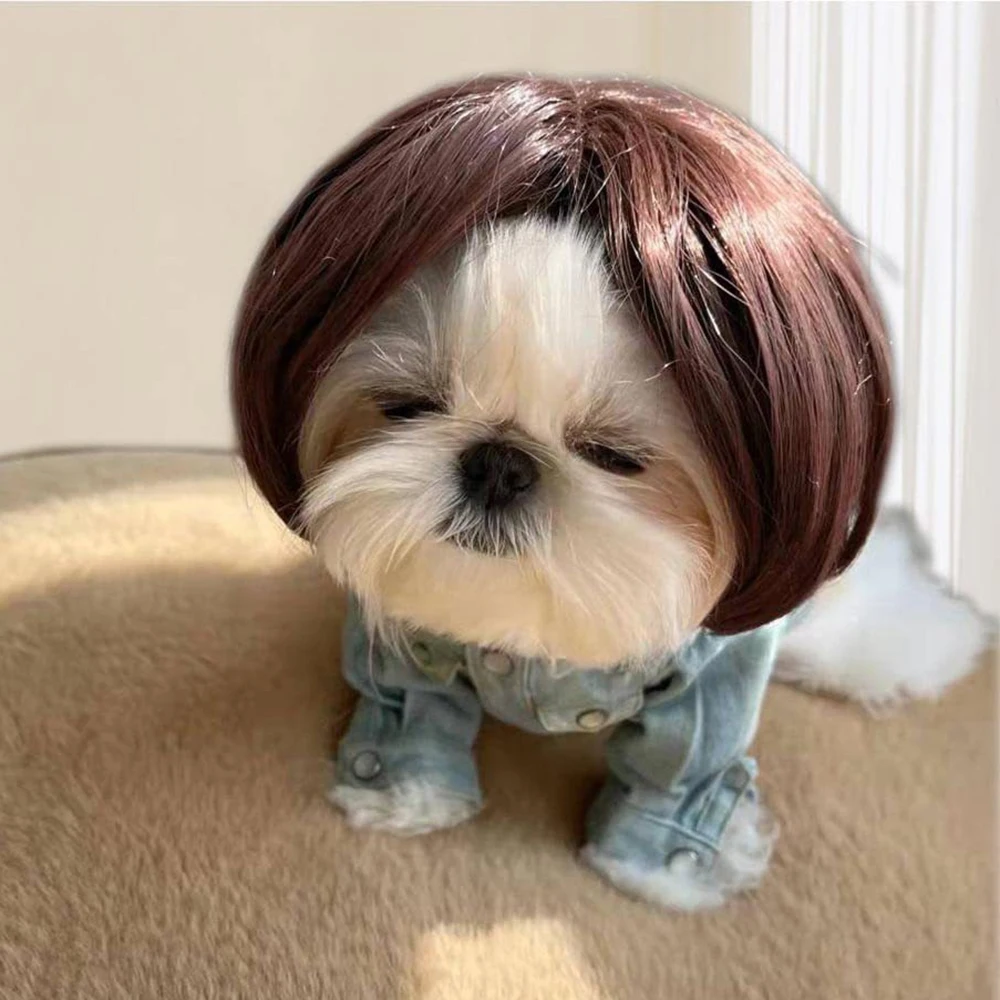 Chihuahua With Hair Wig Chihuahua Afro Wig For Dogs Cute Chihuahua