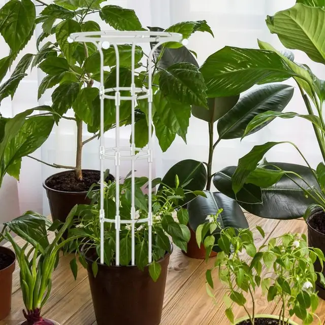 Beltéri Rácsos Leszerelhető Kert Obeliszk Rács Hordozható Cserepes Növényi Hegymászás Virágok Számára Zöldség Gyümölcsök Szőlő - Image 5