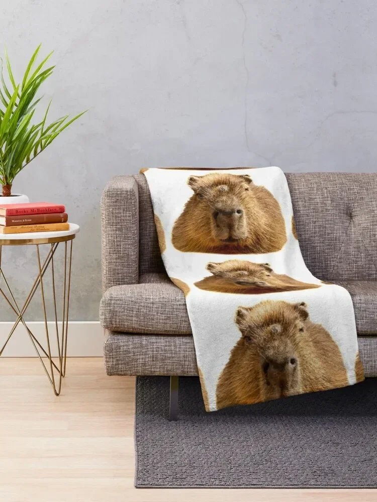 Capybara �޺� �Ʒ� ���� �ִ� ���, ������ �ܿ�, ǫ���� ���� ���� ħ��, ���� ���