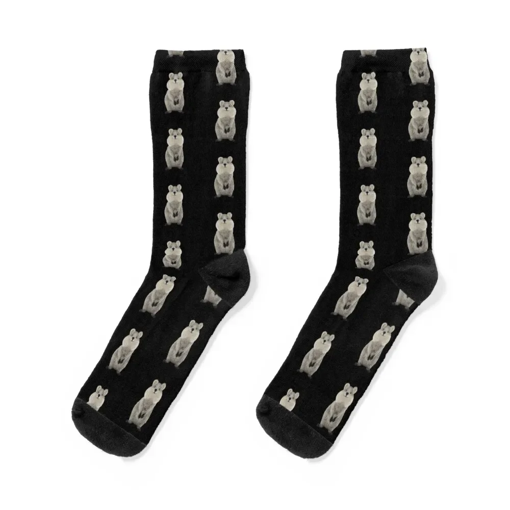 

Quokka! Socks hip hop designer golf Mens Socks Women's