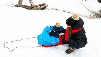 Sled Deluxe with Weather Shield Toddler Sled for Snow Kids Durable Sled for Winter Sledding Children's Ages up to 24 Months 6