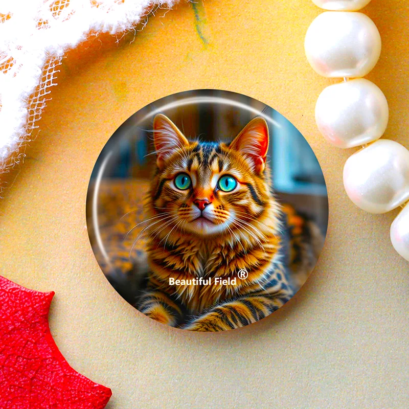 DIY Round Glass Cabochon Set for Handmade Photo Crafts - Assorted Sizes