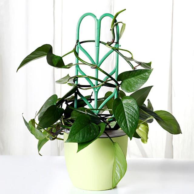 Növényi Hegymászás Kert Kerti Műanyag Ketrecek Támogató Virágtartó Vine Trellis Bracket Beltéri Cserepes Rögzítő Rúd Készletek - Image 5