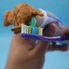 Funny Dog Pooping Toothpaste Squeezers Cartoon Toothpaste Cap Squeezer Novelty Gift For Kids Adult Portable Bathroom Accessories 1