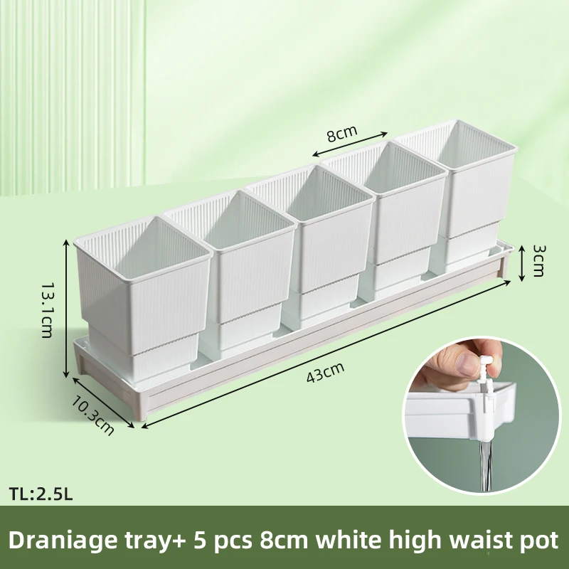 1tray 5 pcs 8cm