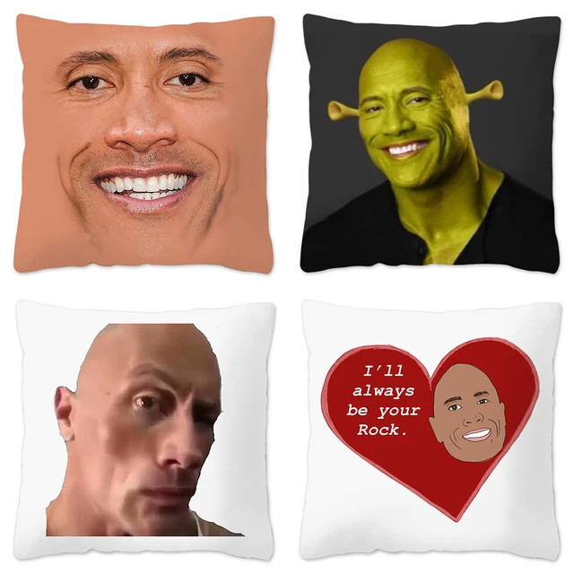 Sobrancelha meme dwayne the rock johnson capa de almofada 35x35 cm veludo  lance travesseiro caso decoração da sua casa cama escritório sofá fronha -  AliExpress